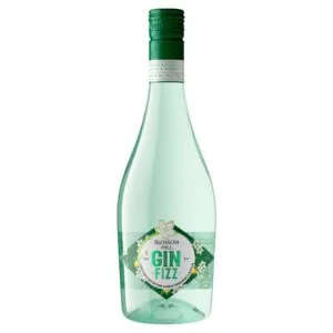 Gin Fizz